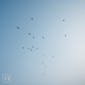 男人添女人囗交做爰高潮
